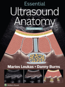 Ultrasound Anatomy